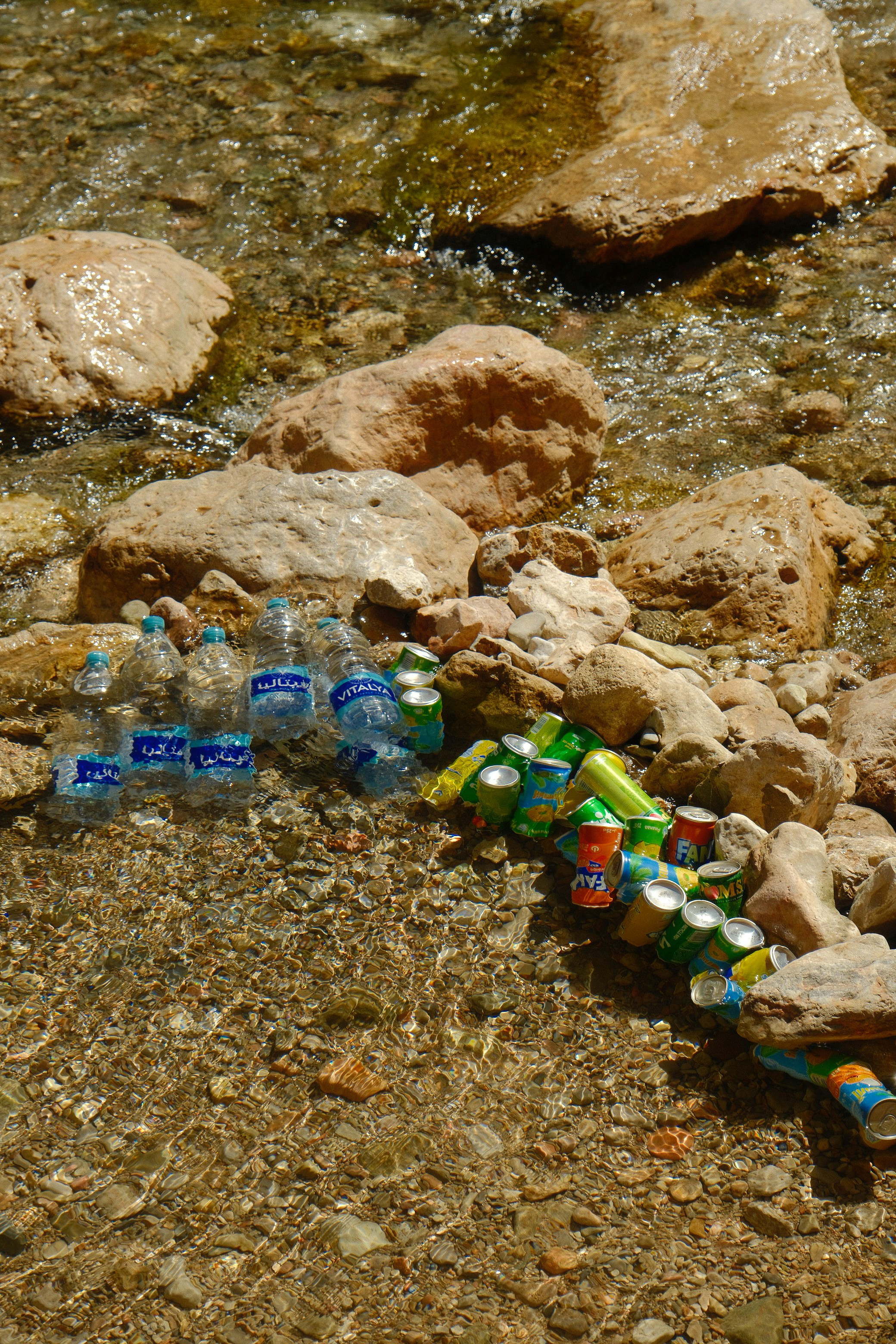 Environmental Sustainability